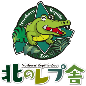 北のレプ舎 | 札幌市手稲区〜見て触れて学べる爬虫類館〜